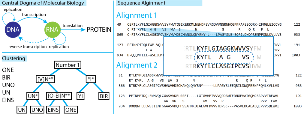 An Extended de Bruijn Graph for Feature Engineering Over Biological Sequential&nbsp;Data